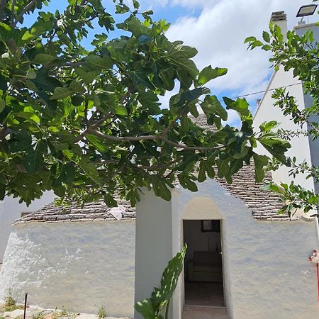 River Trulli Oasi Di Pace In Sito Unesco อัลเบโรเบลโล ภายนอก รูปภาพ