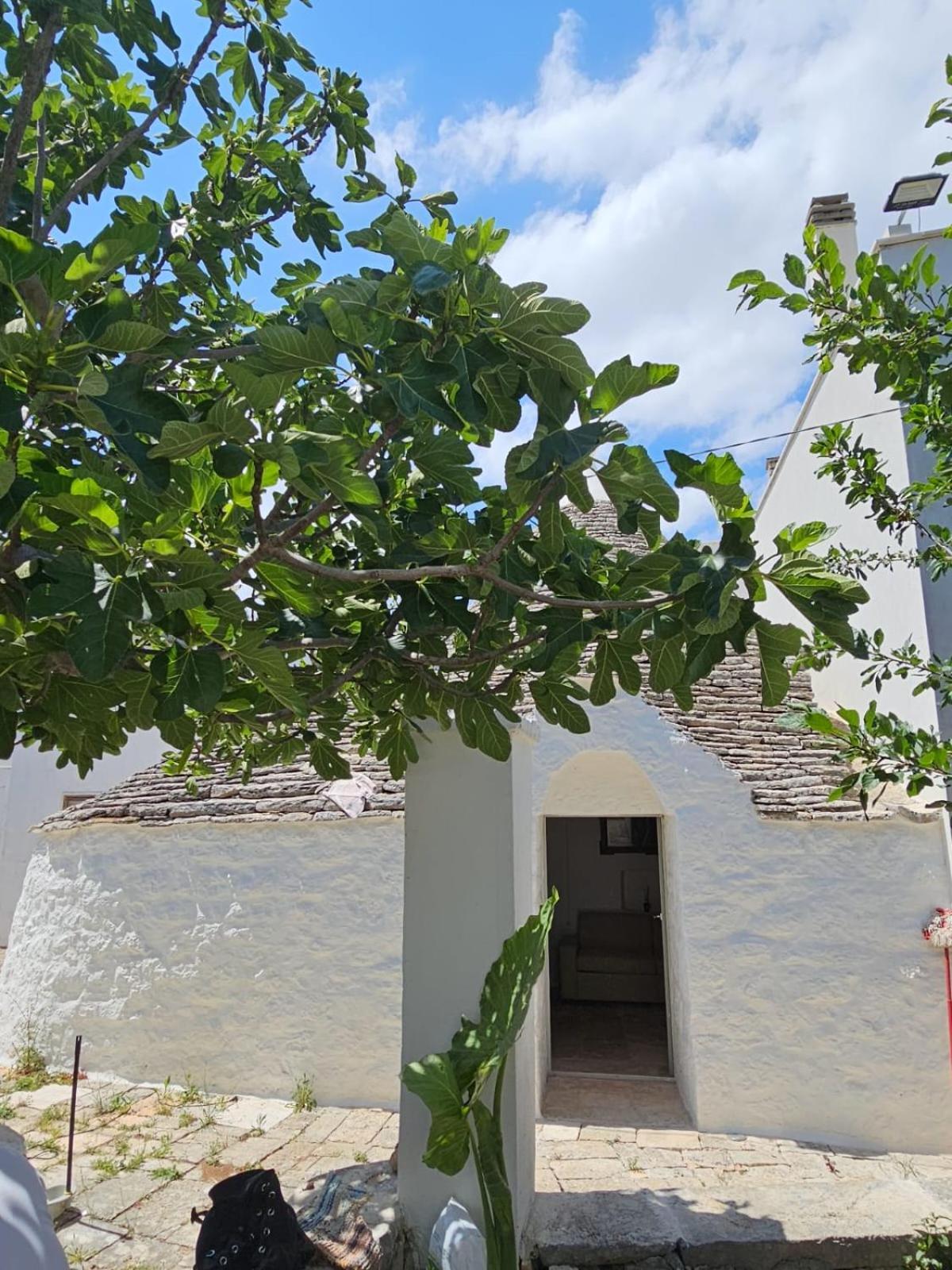 River Trulli Oasi Di Pace In Sito Unesco อัลเบโรเบลโล ภายนอก รูปภาพ