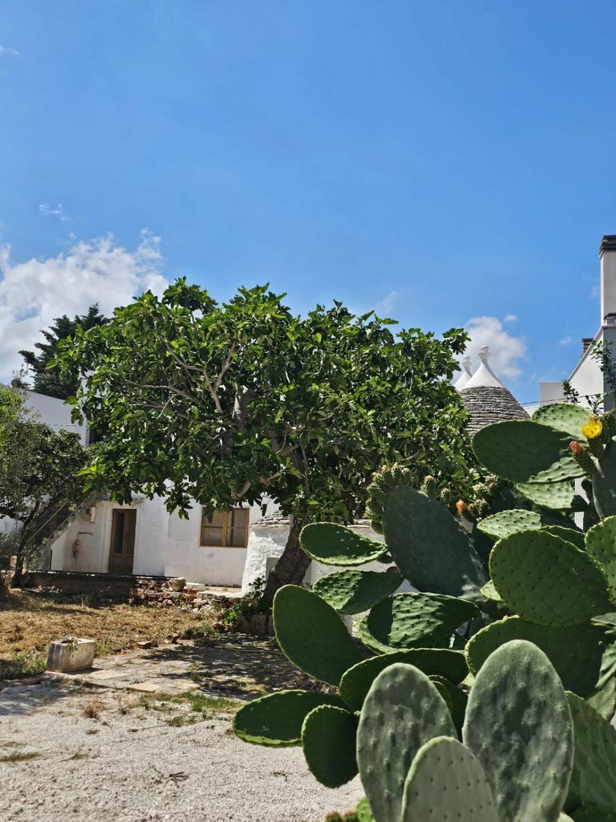 River Trulli Oasi Di Pace In Sito Unesco อัลเบโรเบลโล ภายนอก รูปภาพ