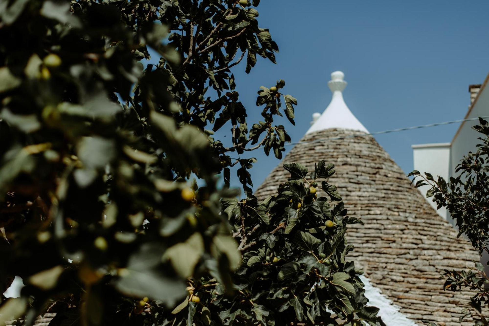 River Trulli Oasi Di Pace In Sito Unesco อัลเบโรเบลโล ภายนอก รูปภาพ